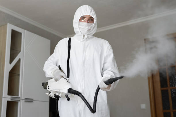 Why You Should Choose Our Mold Remediation Services in Pine Knot, KY